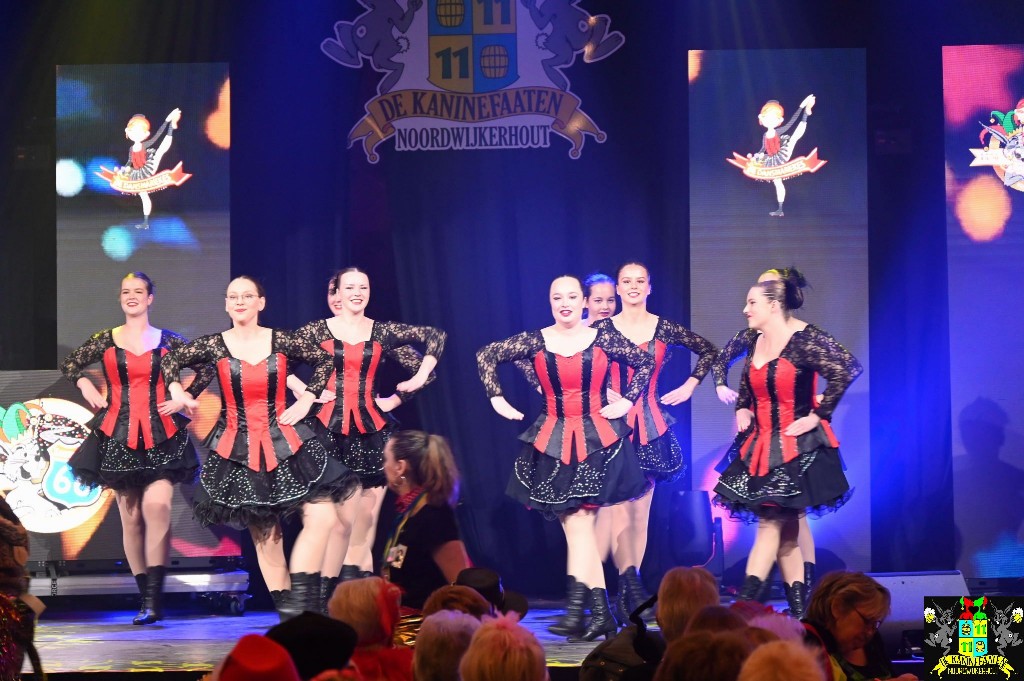 ../Images/Seniorencarnaval 2026 057.jpg